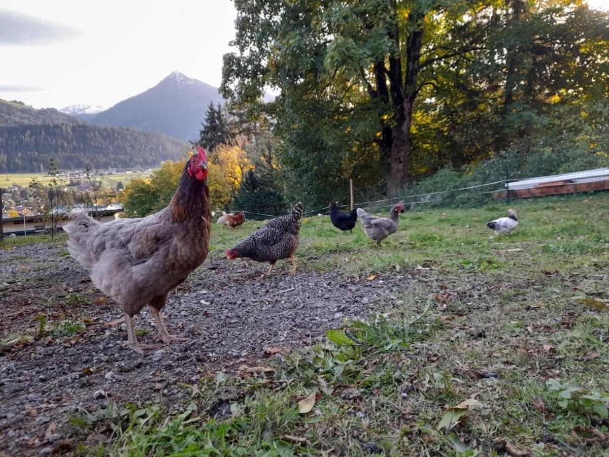 Appartement Sonnseitn Altenmarkt im Pongau Bagian luar foto